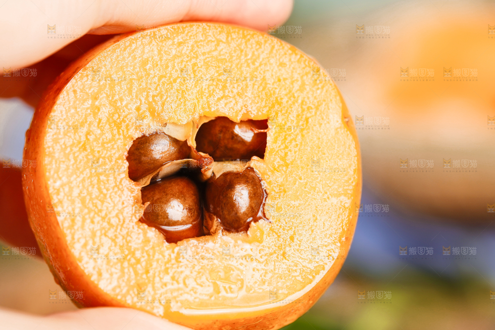 手里拿着枇杷果