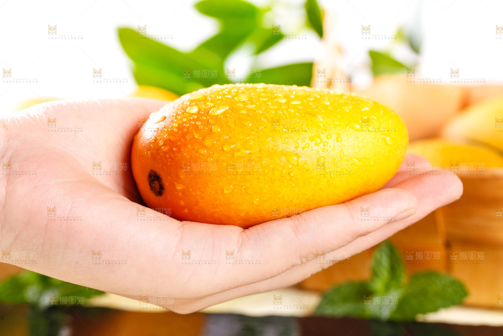 手里拿着小台芒