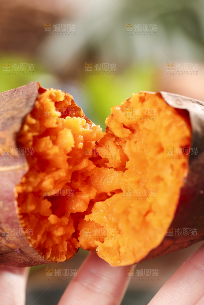 手里拿着蜜薯