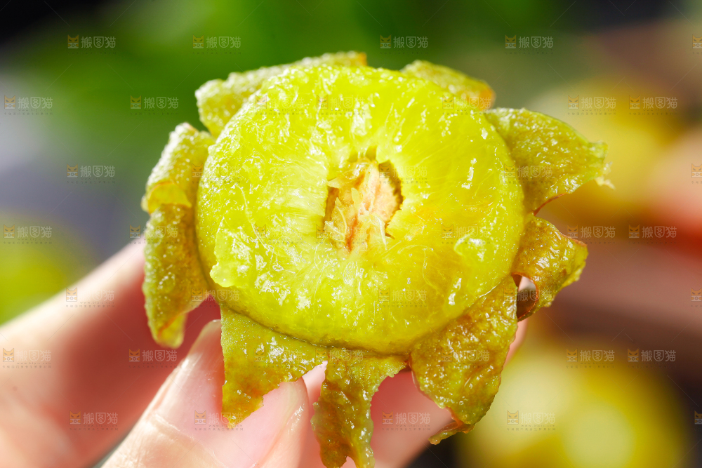 手里拿着茵红李