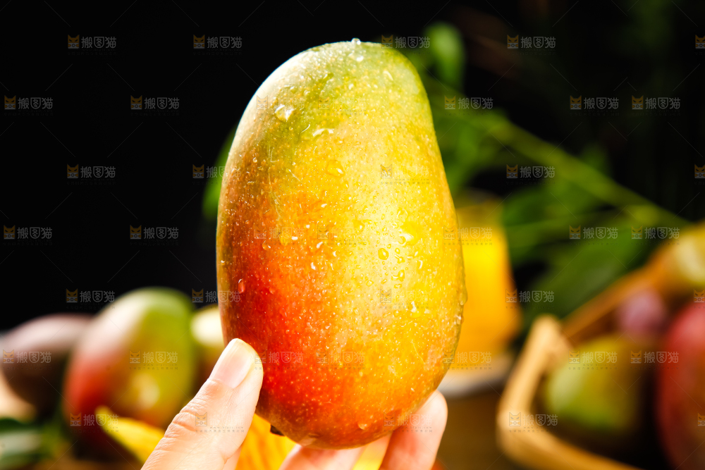 碟子上放着芒果果肉