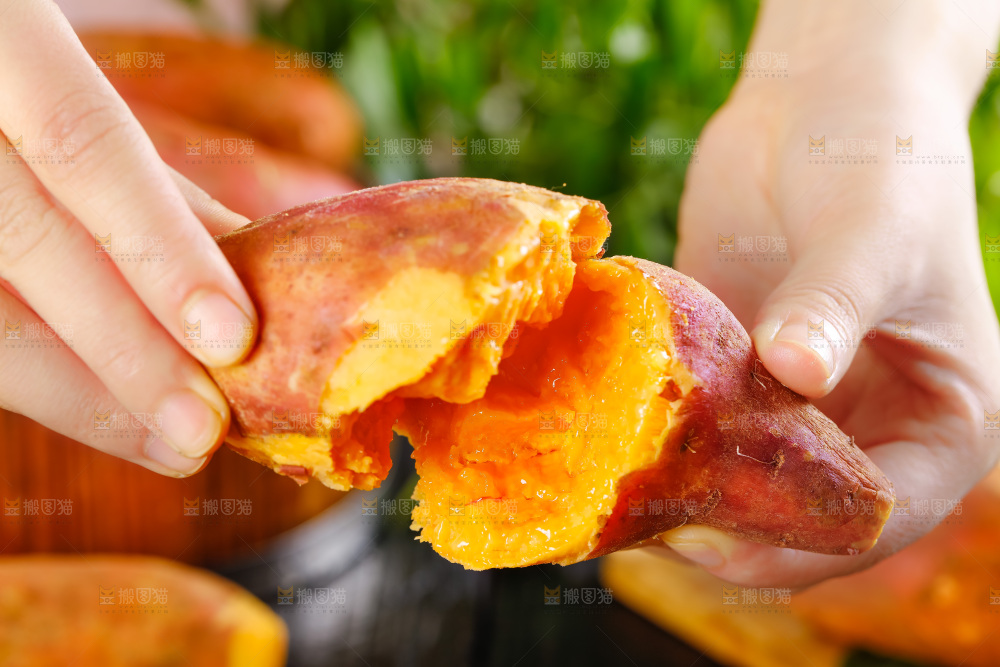 手里拿着红蜜薯