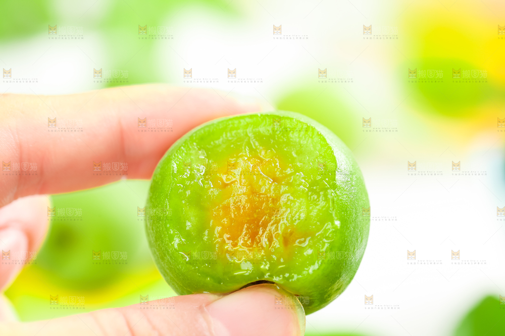 手上拿着新鲜青梅