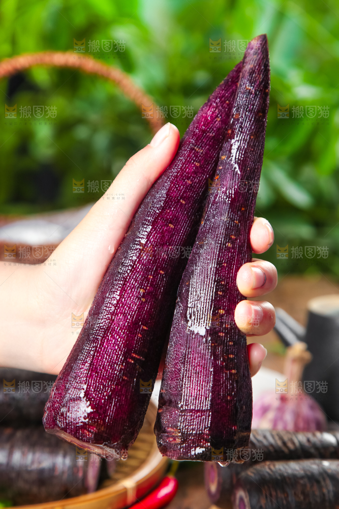 手里拿着紫玉萝