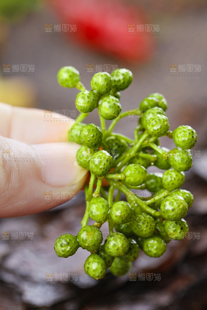 深底上的青花椒