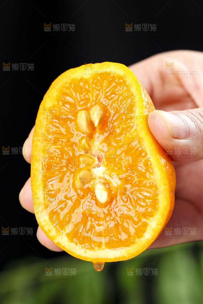手里拿着椪柑橘