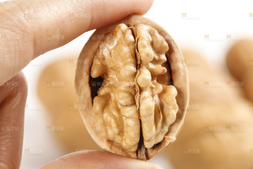 核桃