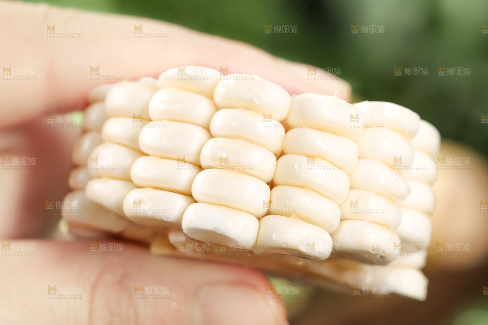 手里拿着甜玉米