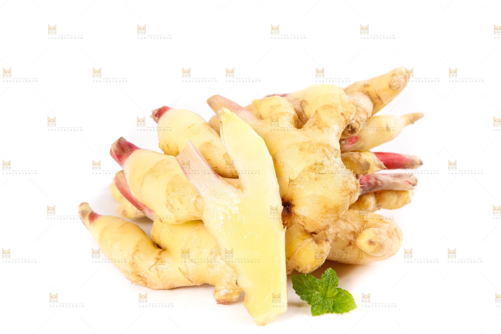 白底上的红芽姜