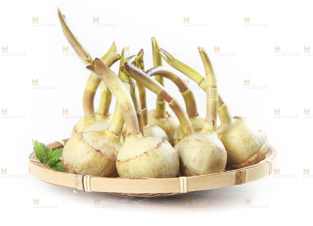 篮子里放着茨菇