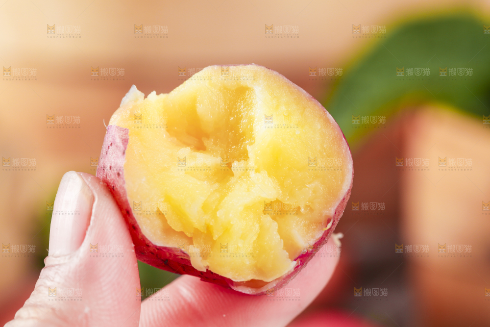 手里拿着红皮土豆