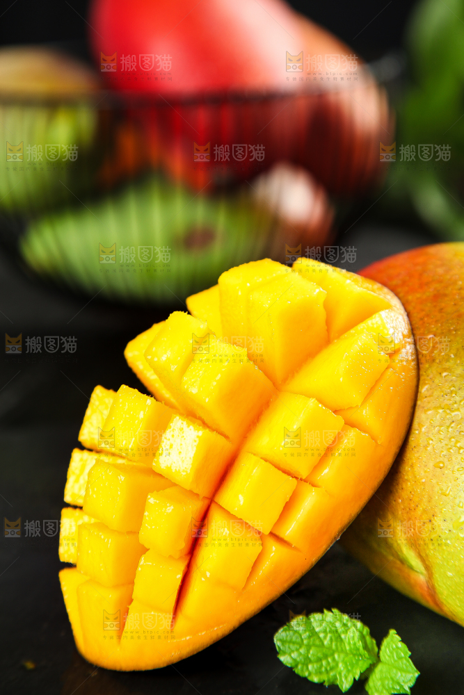 黑石板上的四川吉禄芒