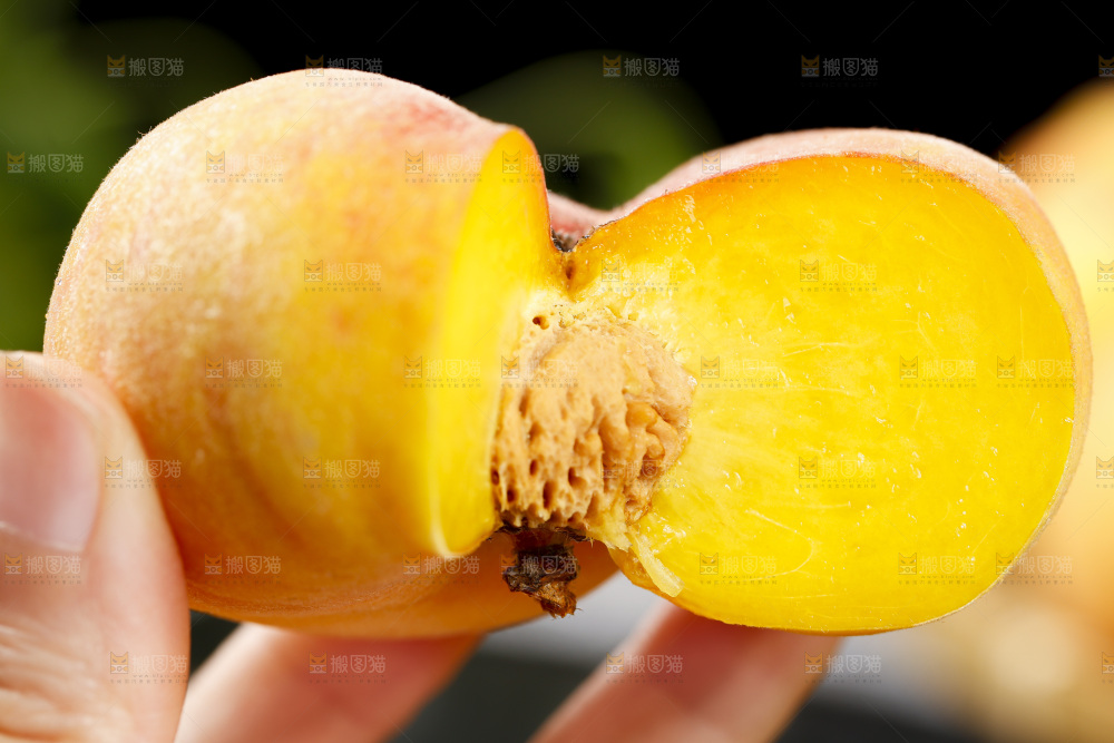 黑底上的毛蟠桃