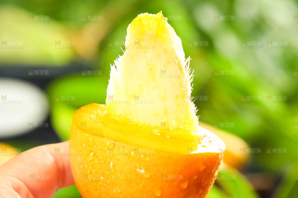 手里拿着小台芒