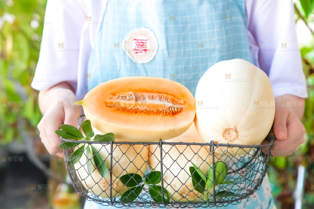 手里端着一篮蜜瓜