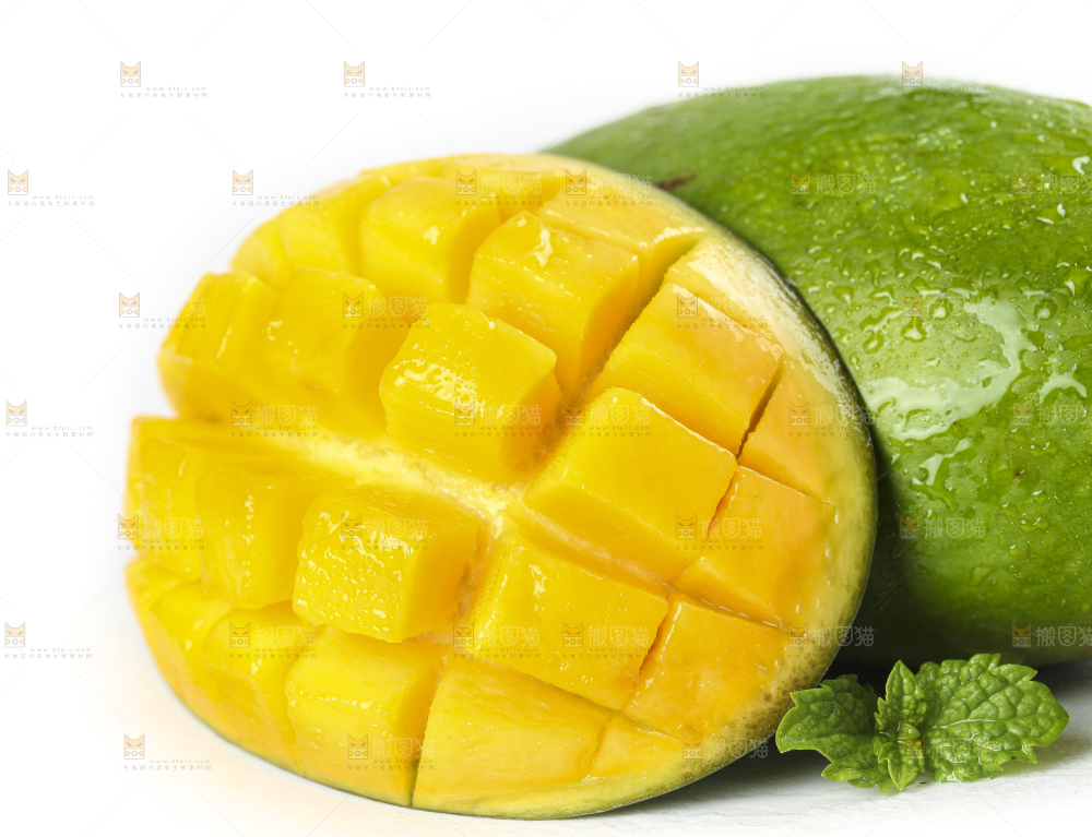 白底上的桂七香芒