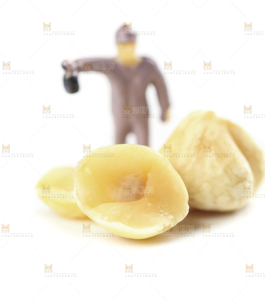白底上摆放着榛子仁