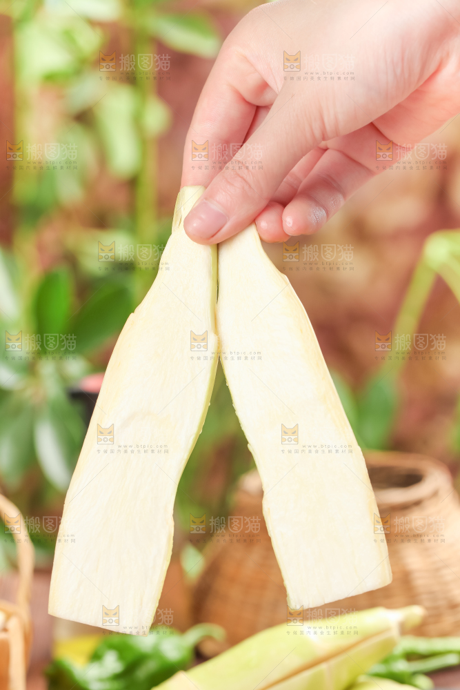 手里拿着湖北新鲜茭白