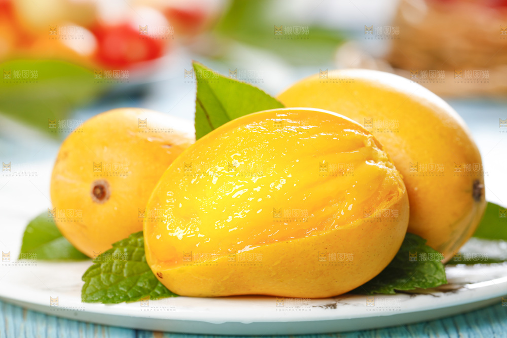 石板上的海南小台芒