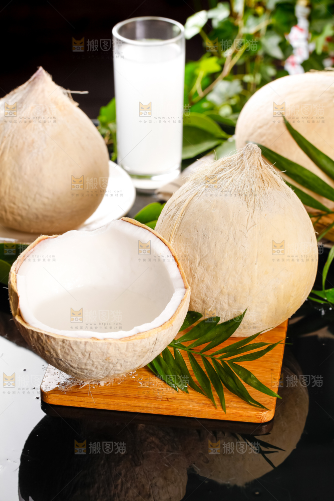 木底上摆放着海南椰子