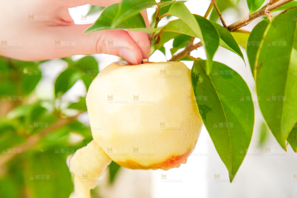 手里拿着嘎啦苹果