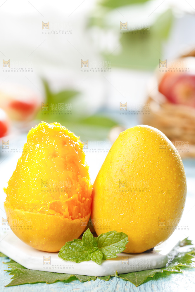 石板上的海南小台芒