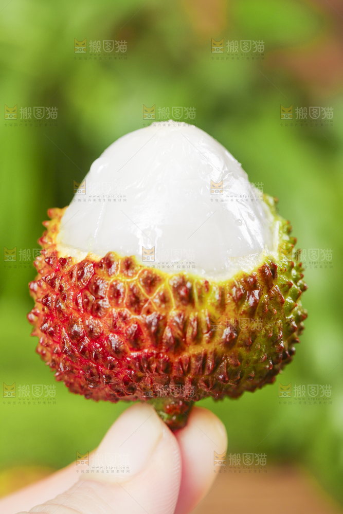 手里拿着妃子笑