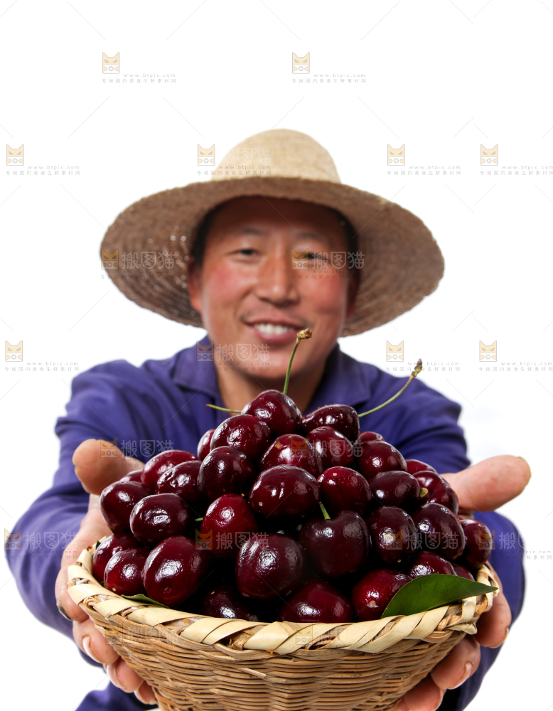 篮子里装着智利车厘子
