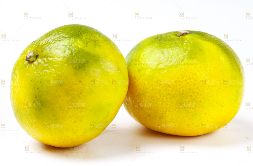 白底上的青皮蜜橘