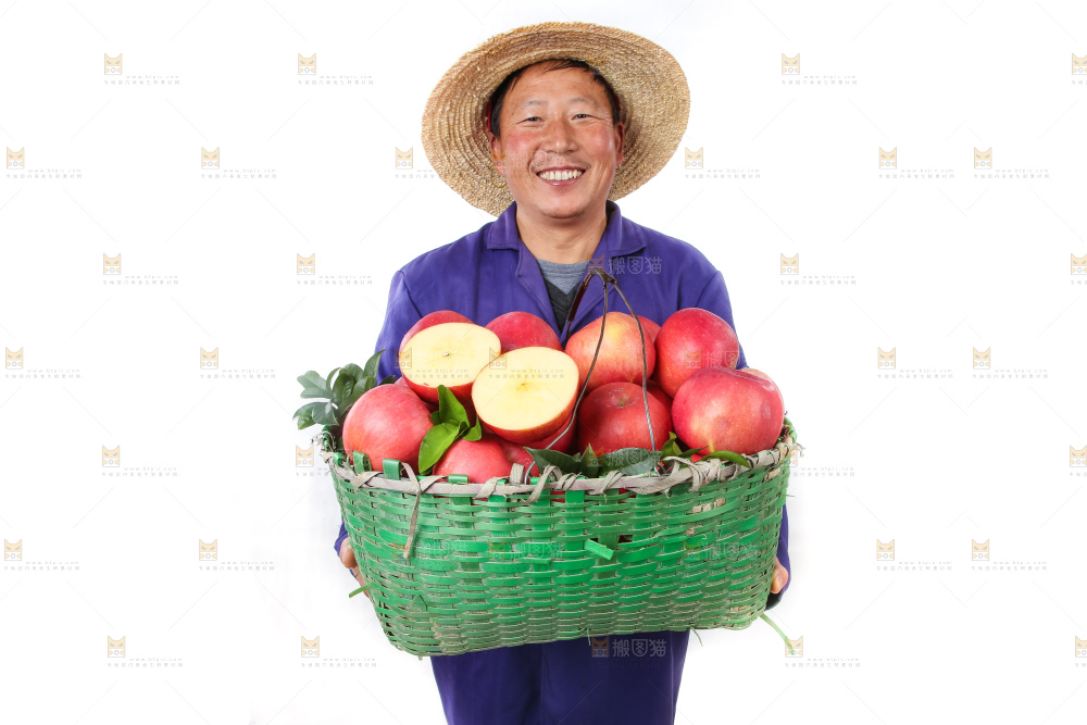 洛川苹果
