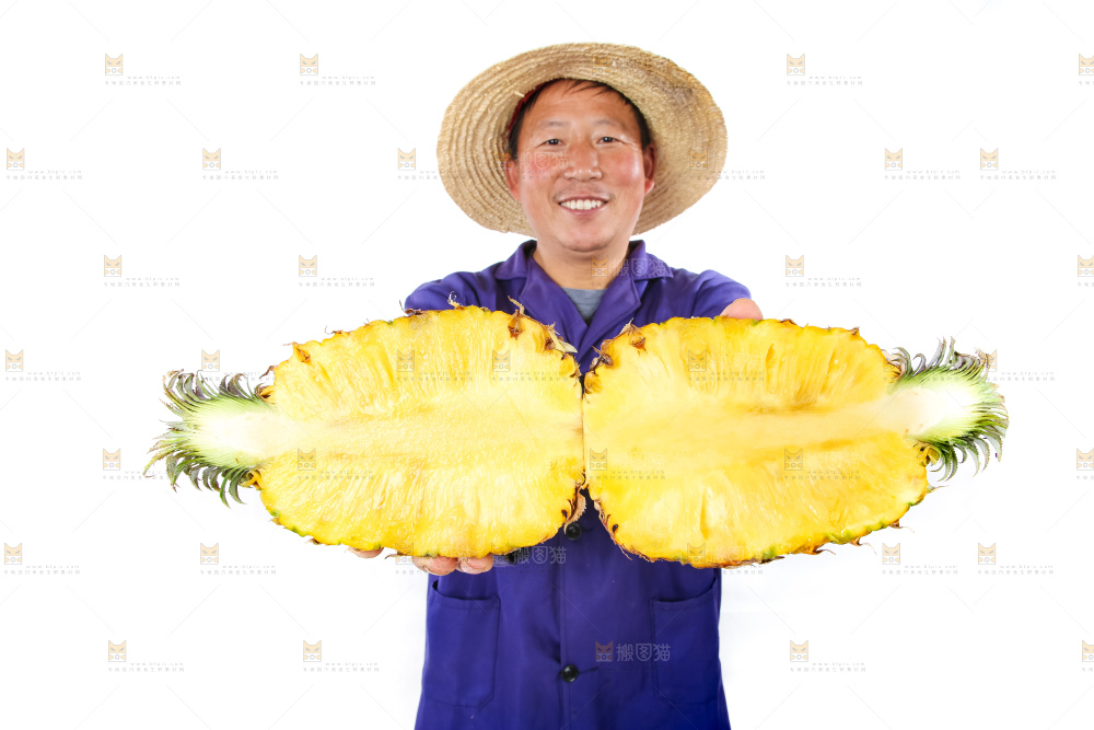 农民手里拿着香水菠萝