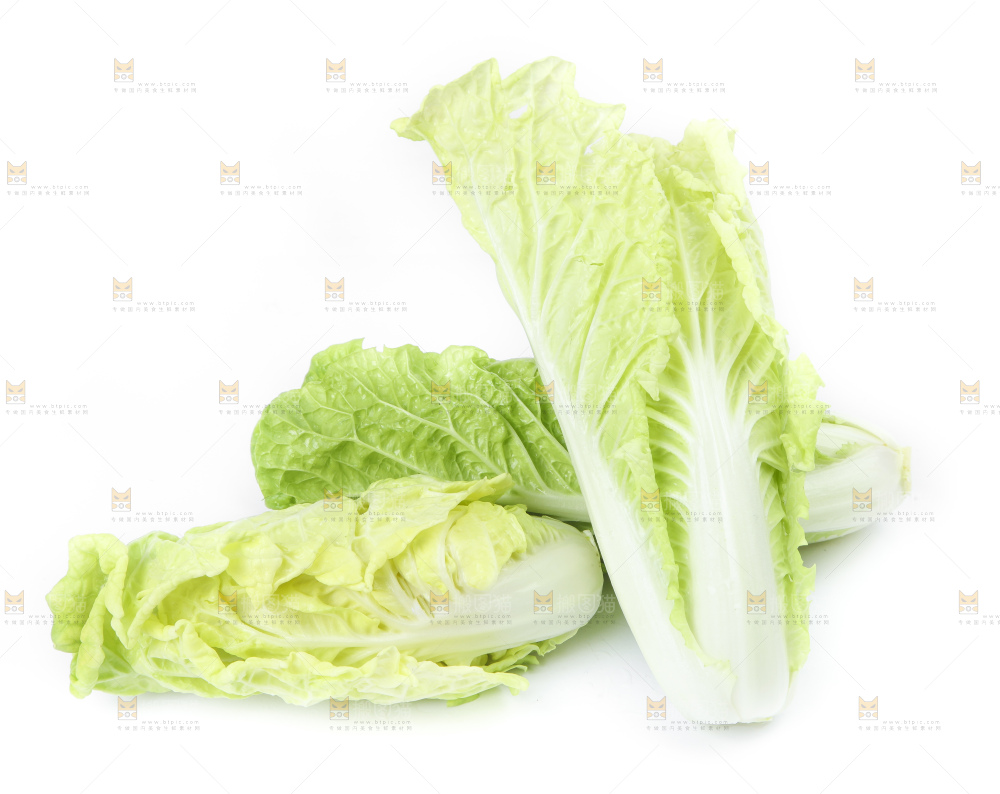白底上放着大白菜