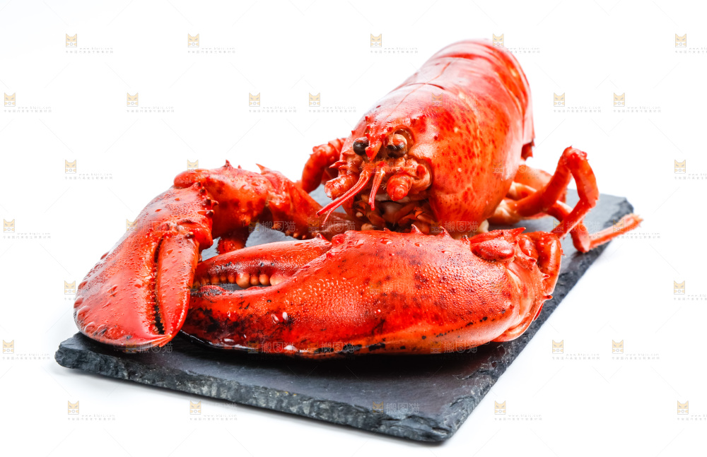 黑石板上的澳洲大龙虾