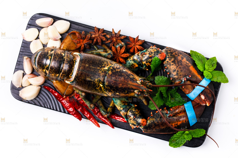 浅底上的澳洲龙虾