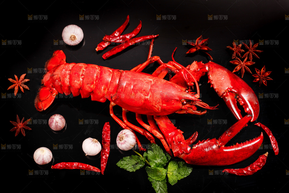 黑底上放着澳洲大龙虾