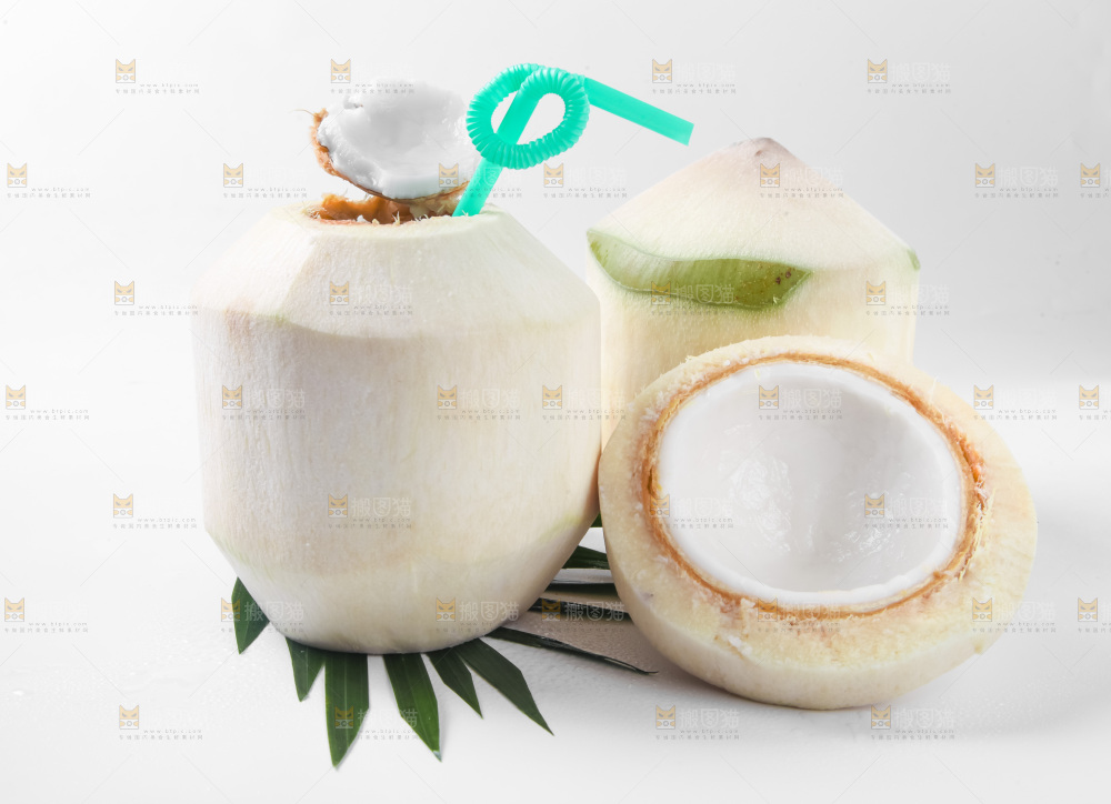 白底上青椰子