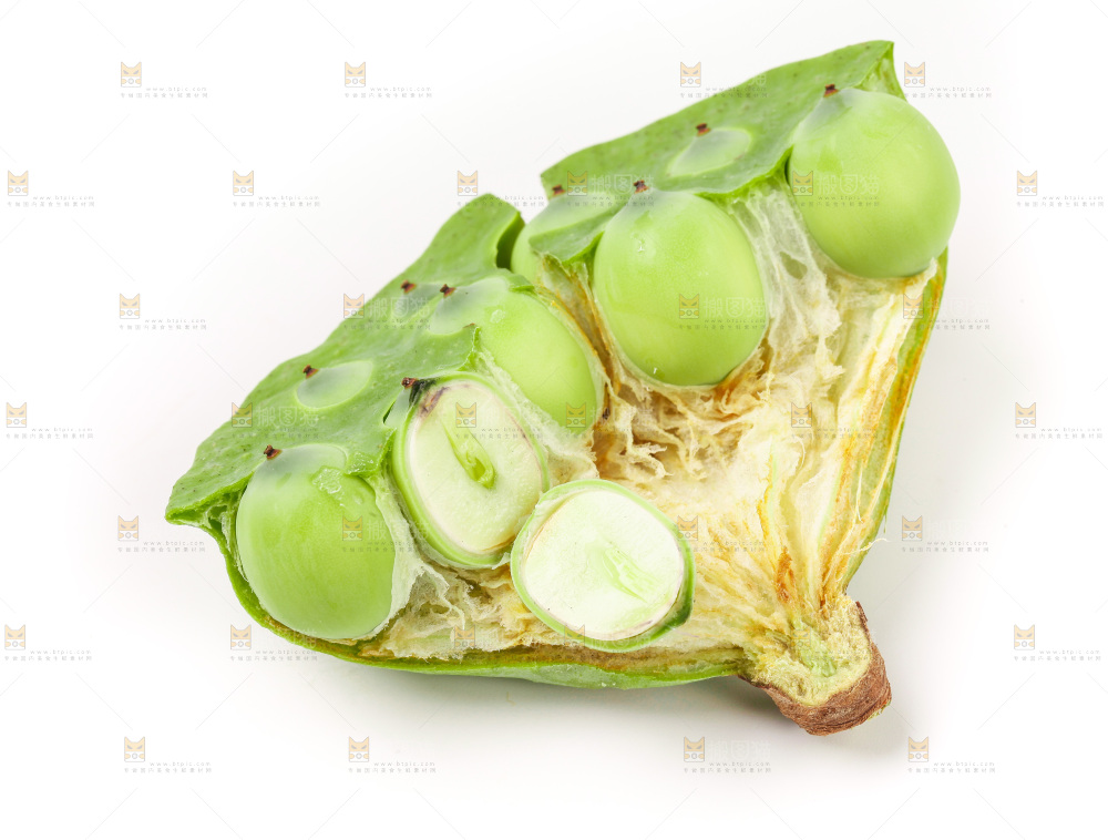白底上的水果莲蓬