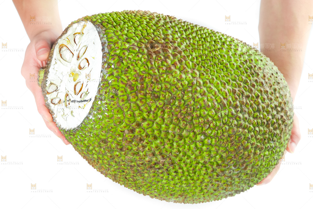 手里抱着新鲜菠萝蜜
