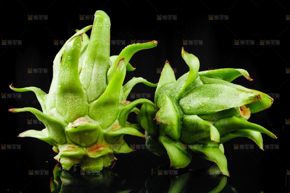 黑底上的火龙果
