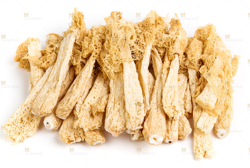 白底上的干竹荪