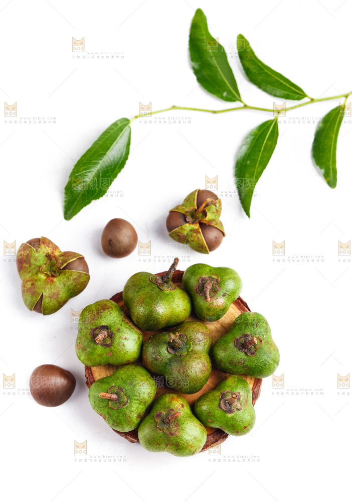 白底上放着茶树果