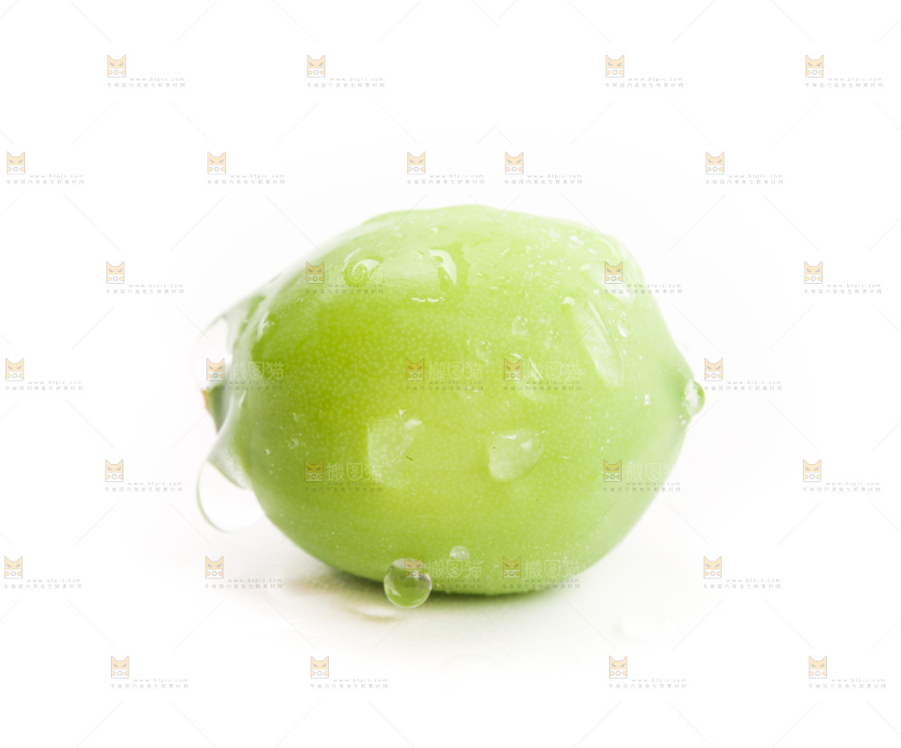 白底上的莲子