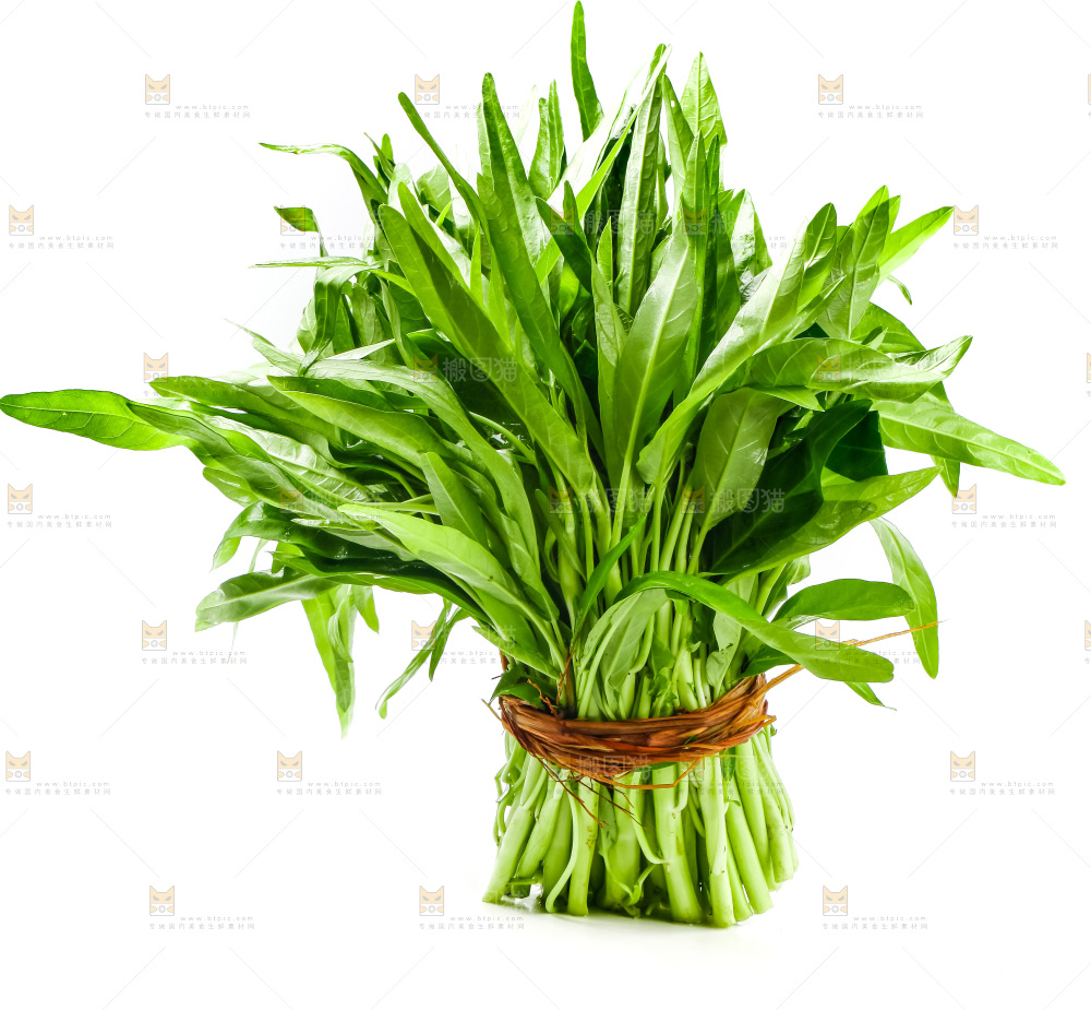 白底上放着新鲜空心菜