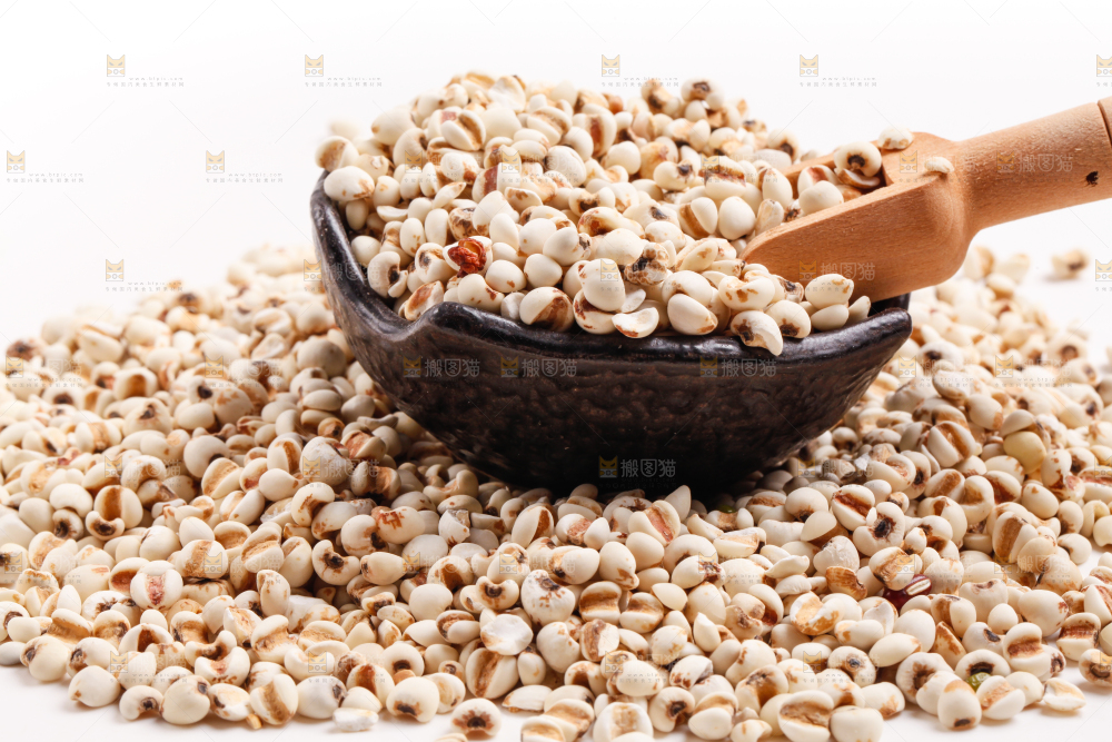 浅底上放着贵州薏米