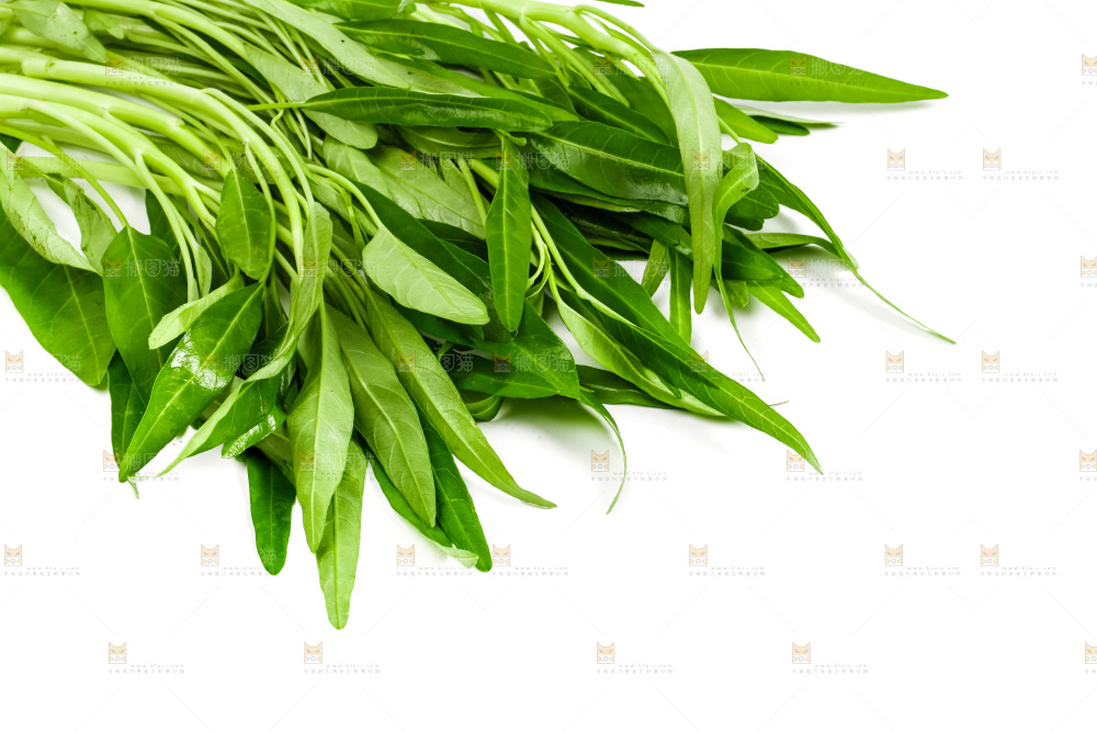 白底上放着新鲜空心菜