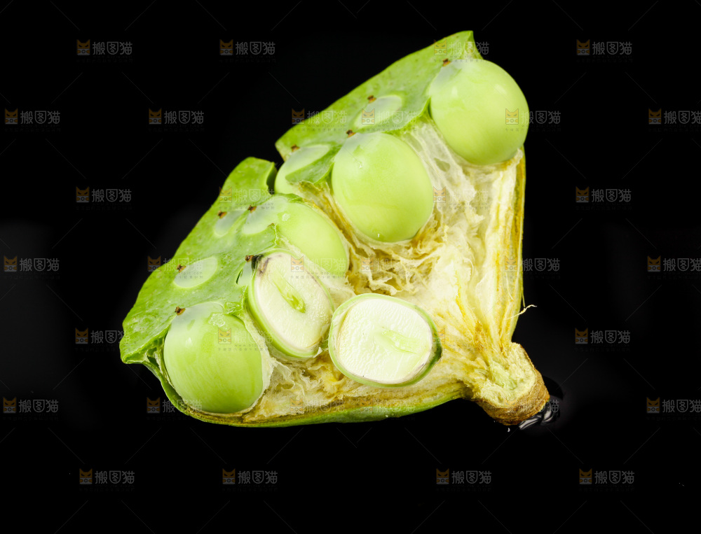 黑底上的水果莲蓬