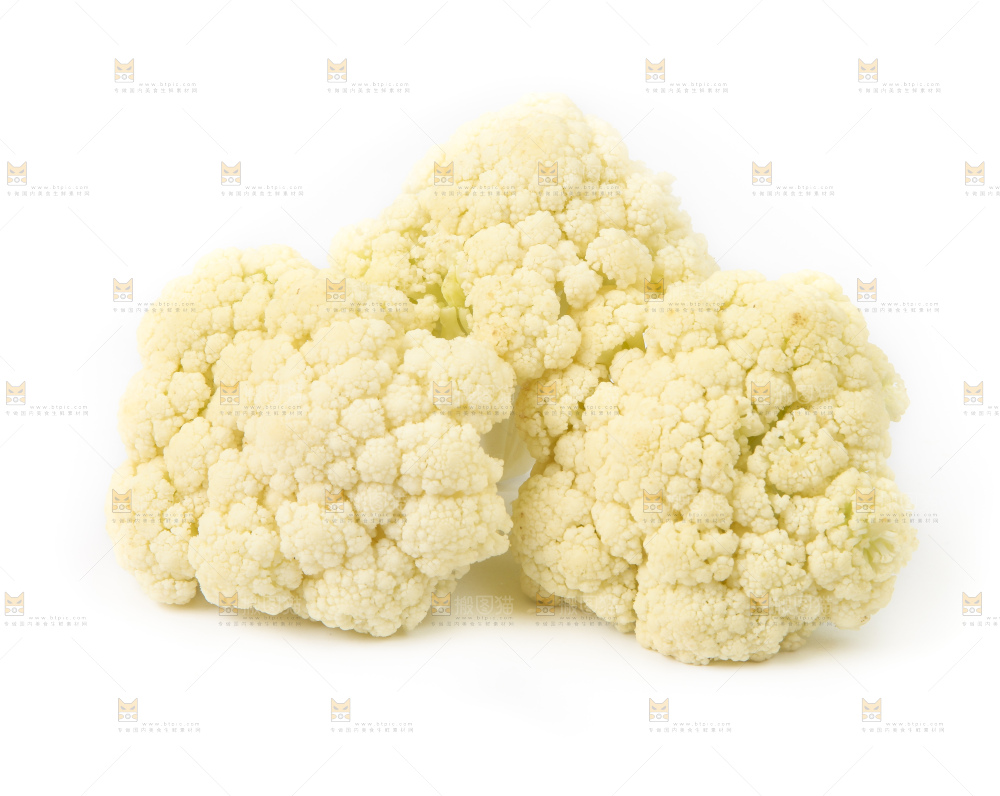 白底上的白花菜