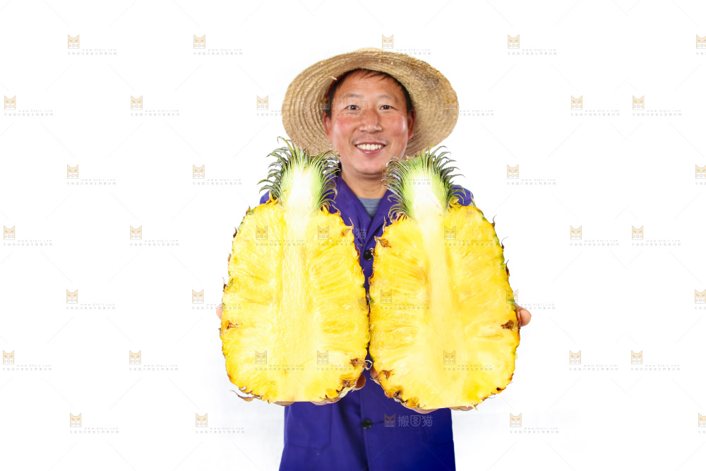 农民手里拿着香水菠萝