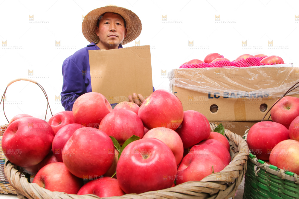 洛川苹果