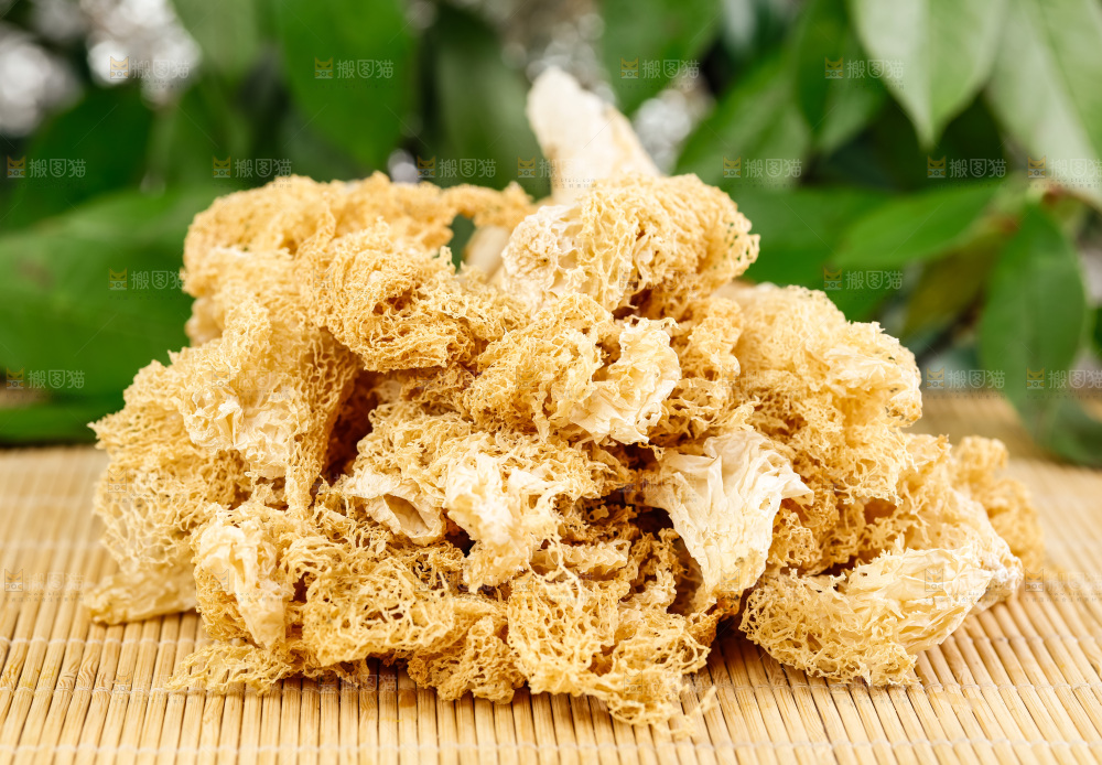 木底上放着古田竹荪